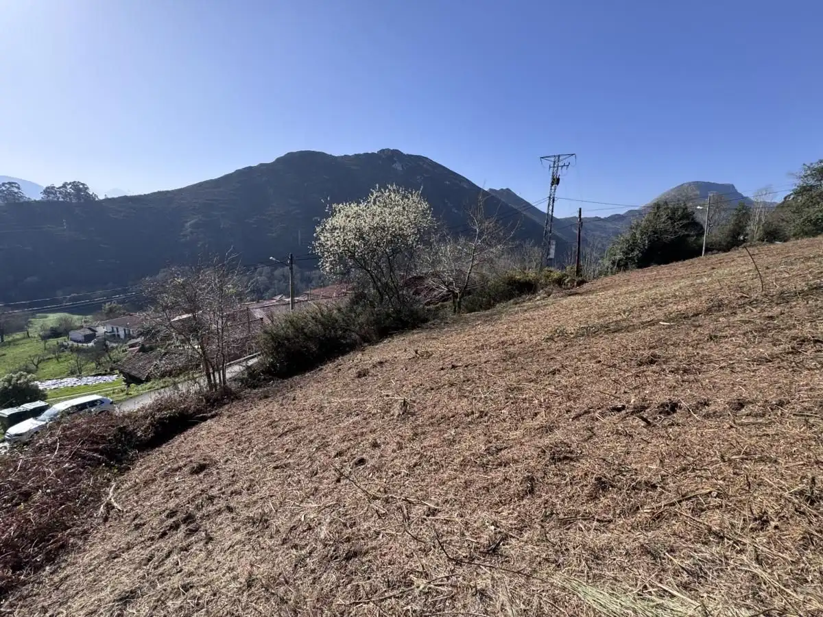 Grundstücke und Bauplätze zum Verkauf in Vibaña - Ardisana - Caldueño, imagen 24