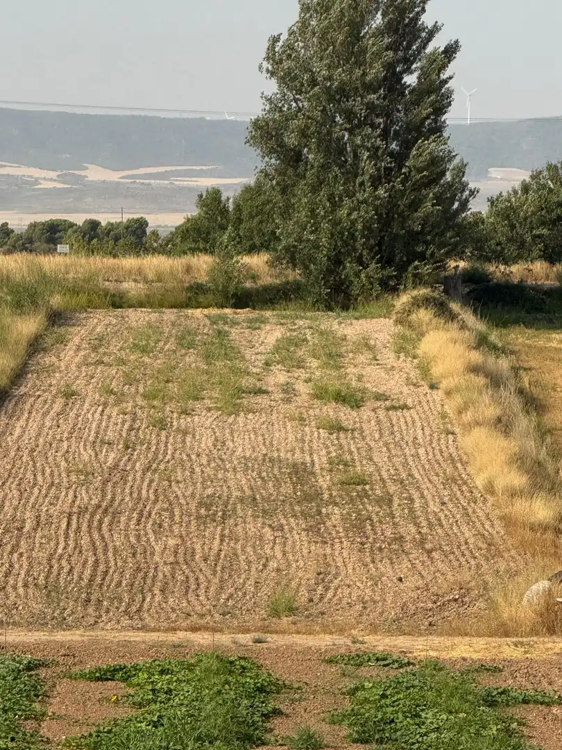 Terrain rustique à vendre à Barrios rurales del oeste, imagen 3