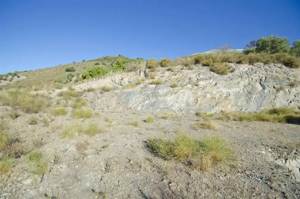 Terreno rústico en venta en Sedella, imagen 5