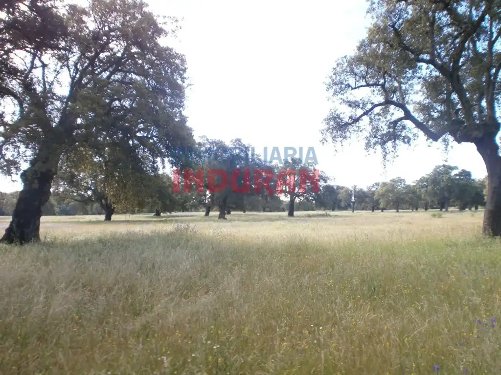 Casa rústica en venda a Malpartida de Plasencia, imagen 3