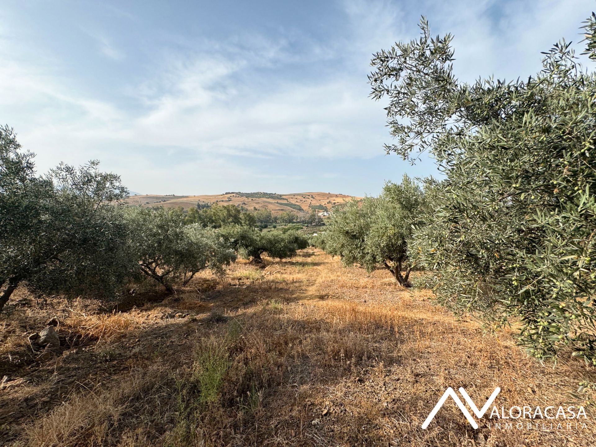 Land for sale in Coín