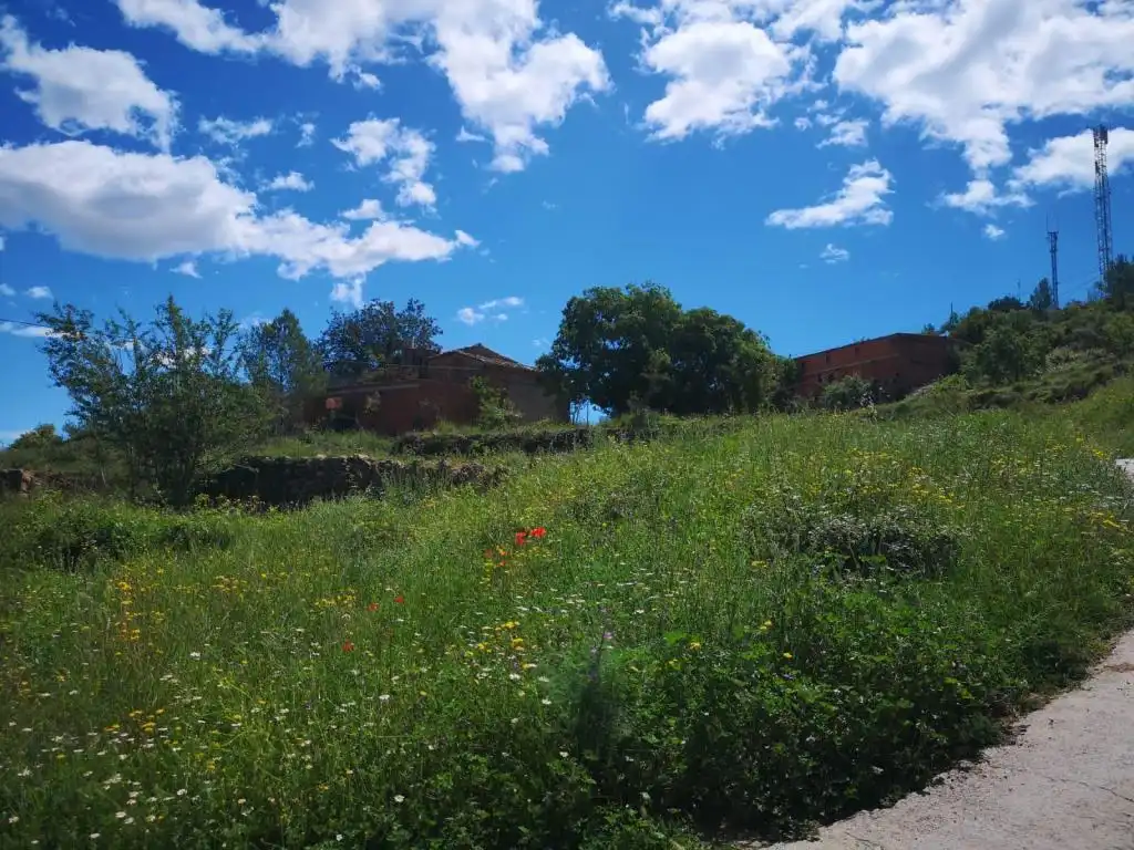 Terreny rústic en venda a PEDRALBA, imagen 6