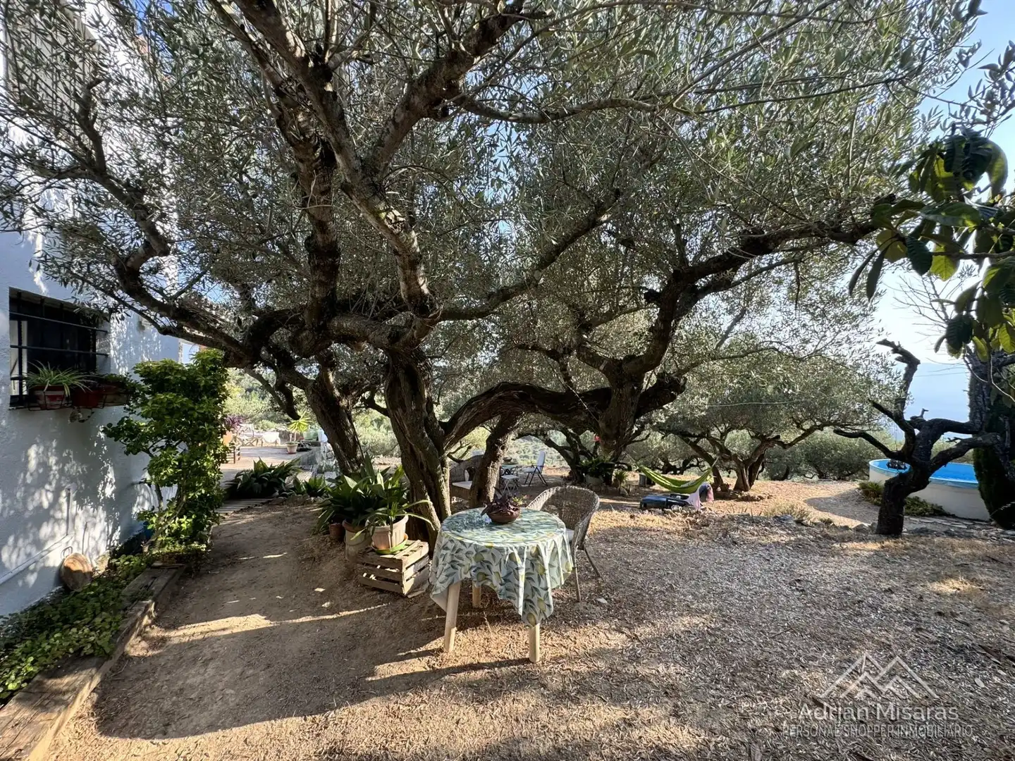 Jardín de Terreno en venta en Tortosa