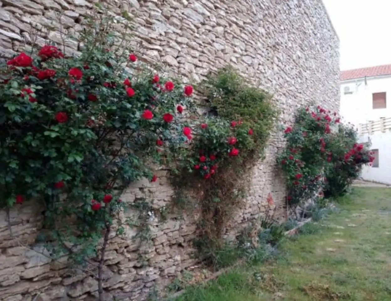 Garden of Houses for sale in Arguedas  with Air Conditioner, Private garden and Parquet flooring