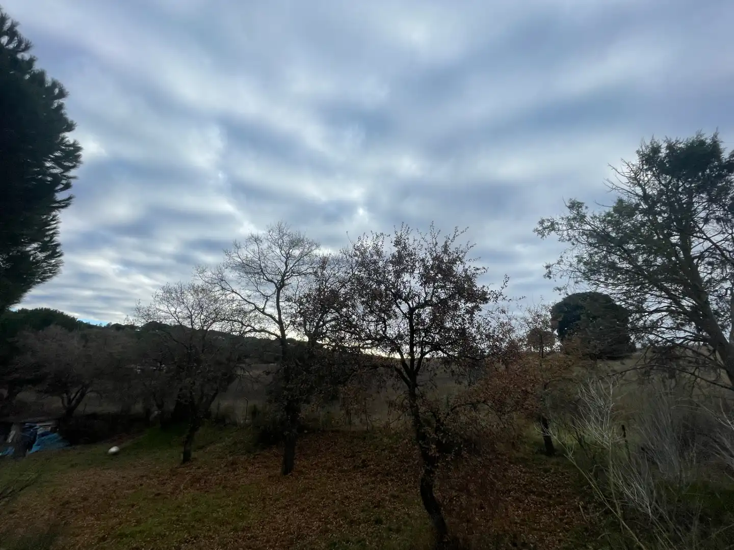 Residencial en venta en Uceda