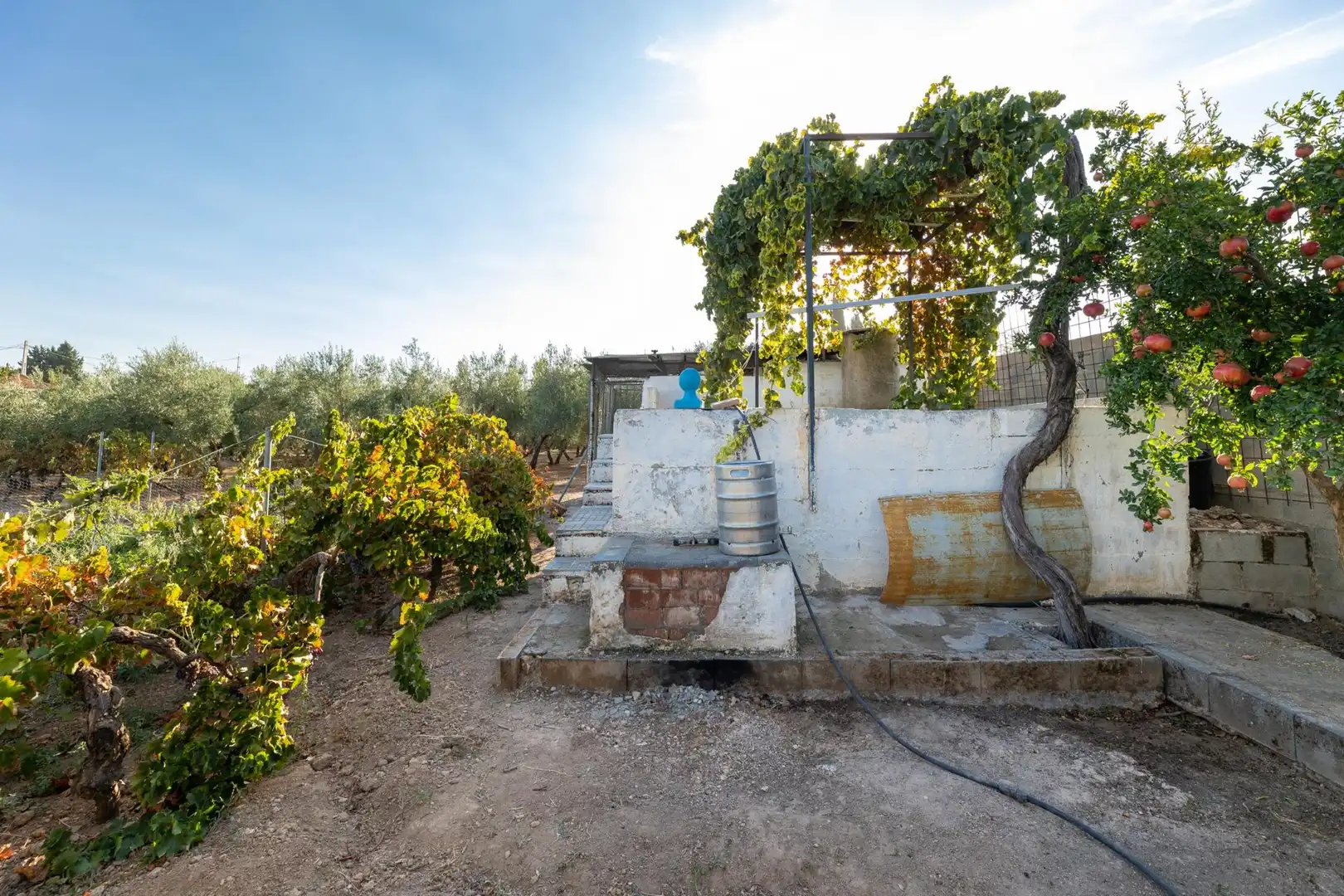Casa rústica amb piscina en venda a Moraleda de Zafayona, imagen 18