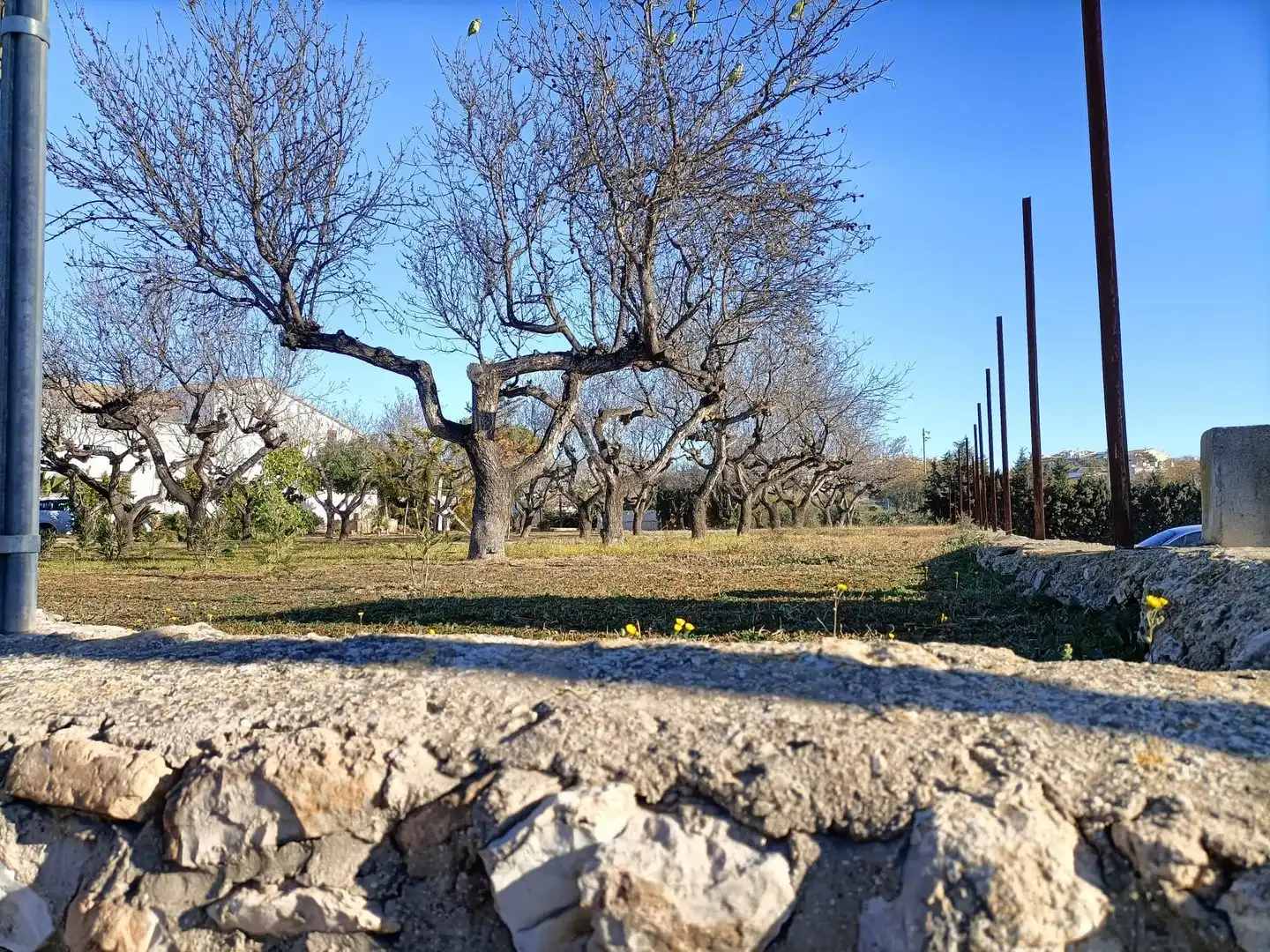 Wohnbaugrundstück zum Verkauf in Mas Trader - Corral d'En Tort - Corral d'En Cona, imagen 13