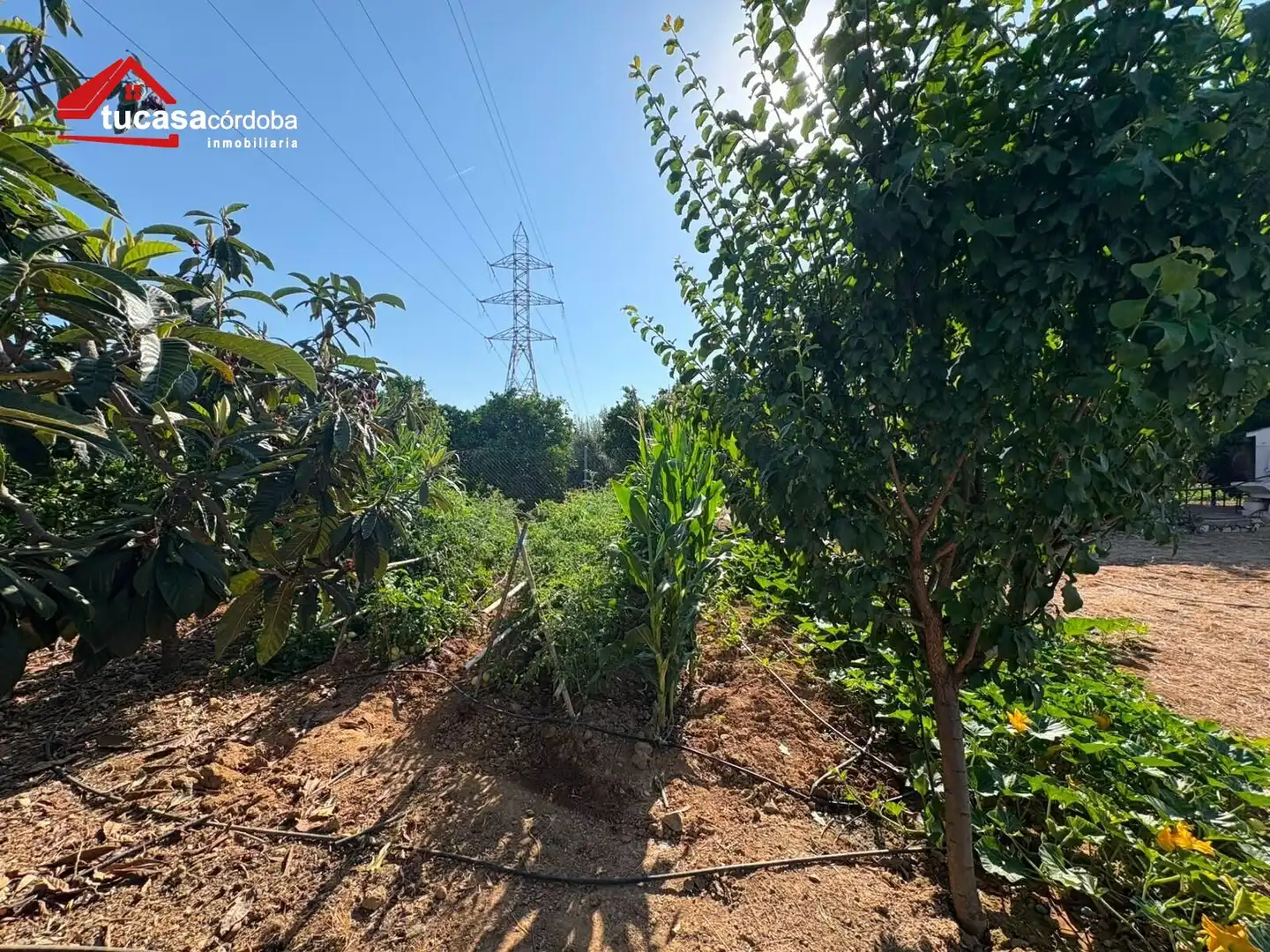 Maison rustique à vendre à Periurbano Oeste - Sierra, imagen 22
