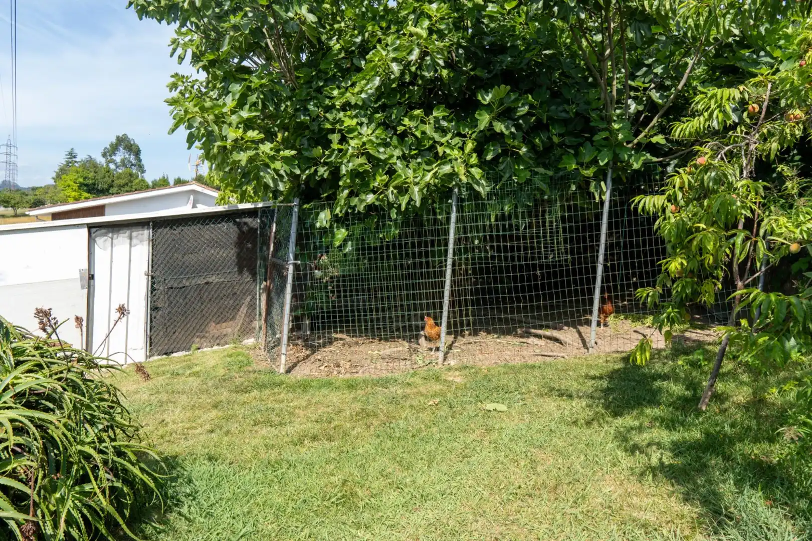 Jardí de Casa o xalet en venda en Gijón  amb Calefacció, Jardí privat i Terrassa