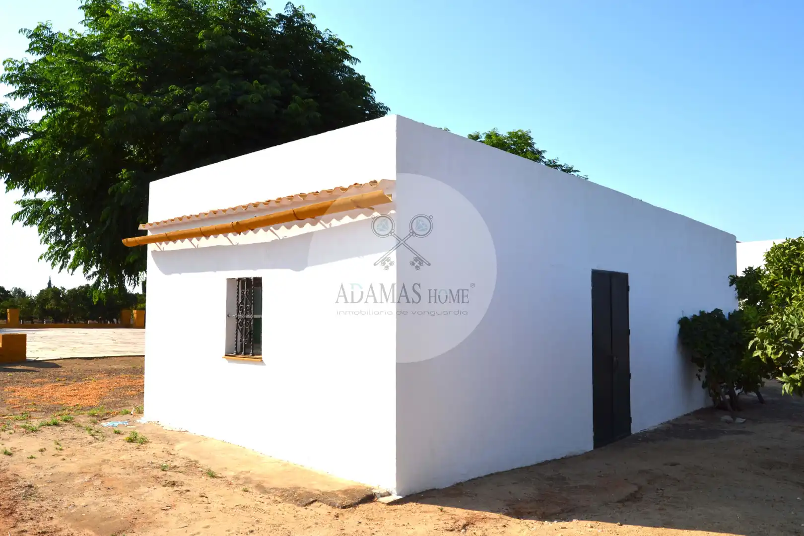 Vista exterior de Casa o xalet en venda en Sanlúcar la Mayor amb Jardí privat, Terrassa i Piscina