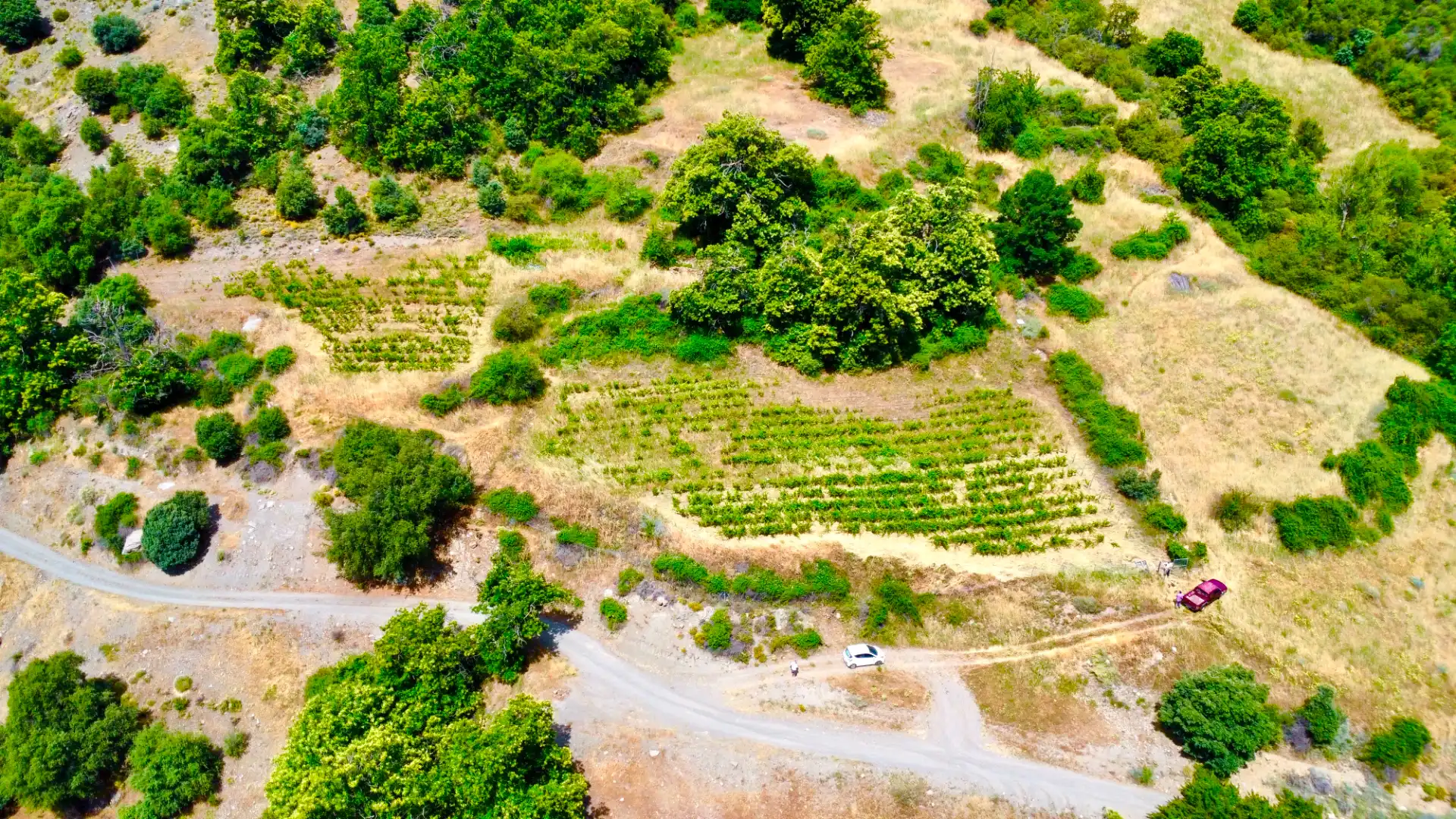 Terreni e lotti in vendita a Alpujarra de la Sierra, imagen 23