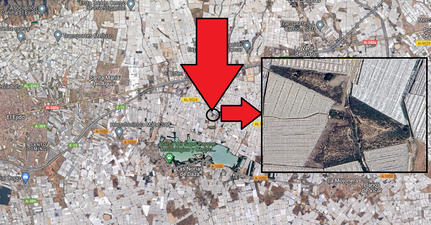 Land for sale in El Ejido