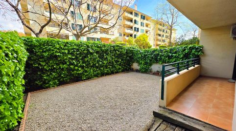 Foto 4 de Planta baixa en venda a Son Cotoner, Palma de Mallorca