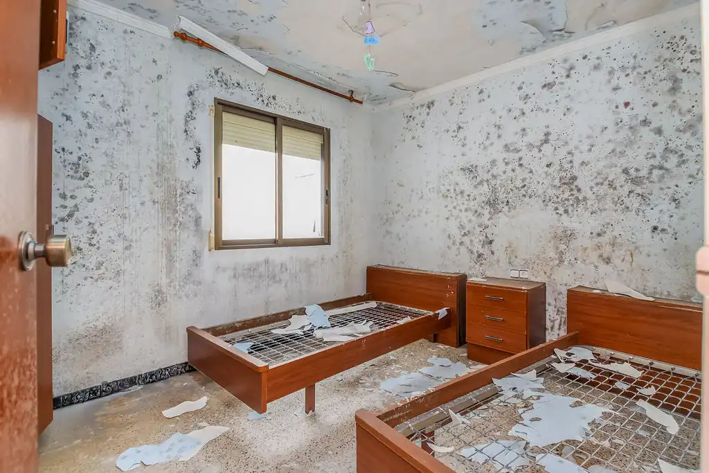 Appartement à vendre à VEINTE 74, imagen 8