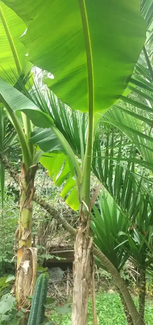 Finca rústica en venta en Irurtzun