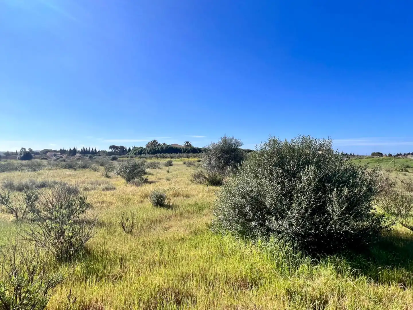 Landhaus zum Verkauf in Sa Pobla, imagen 11