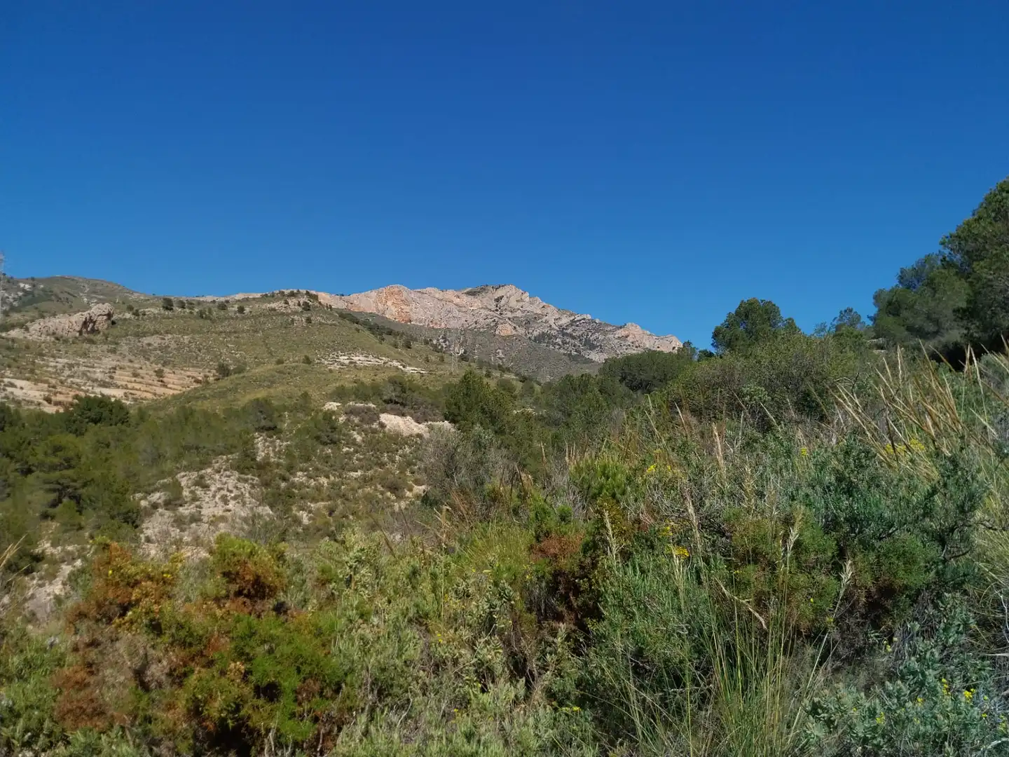 Terreno rustico in vendita a Lugar Castillo, imagen 31