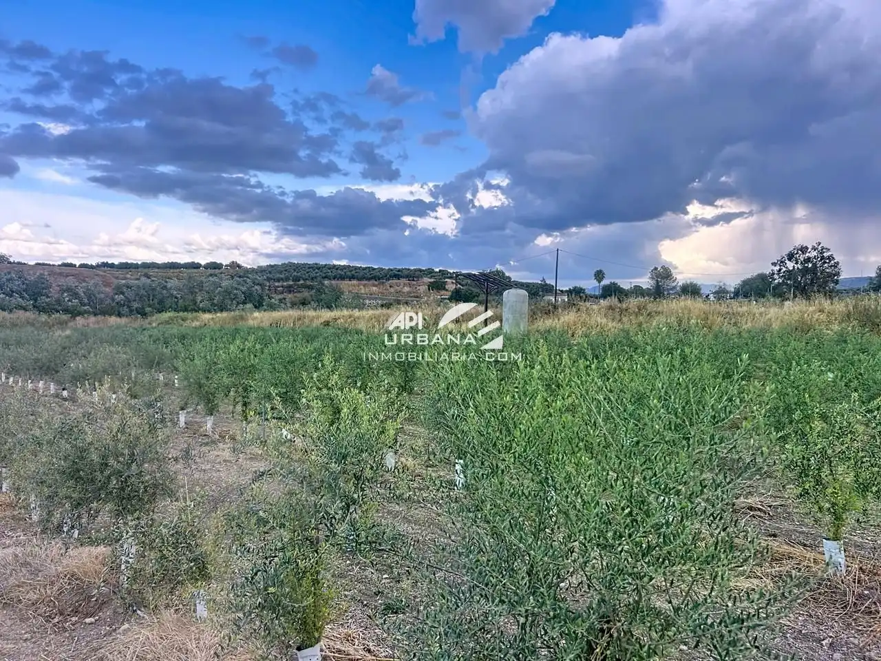 Grundstücke und Bauplätze zum Verkauf in Huertas de Monturque, imagen 2