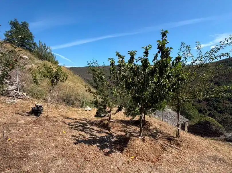 Finca rústica en venda en Navia de Suarna, Lugo