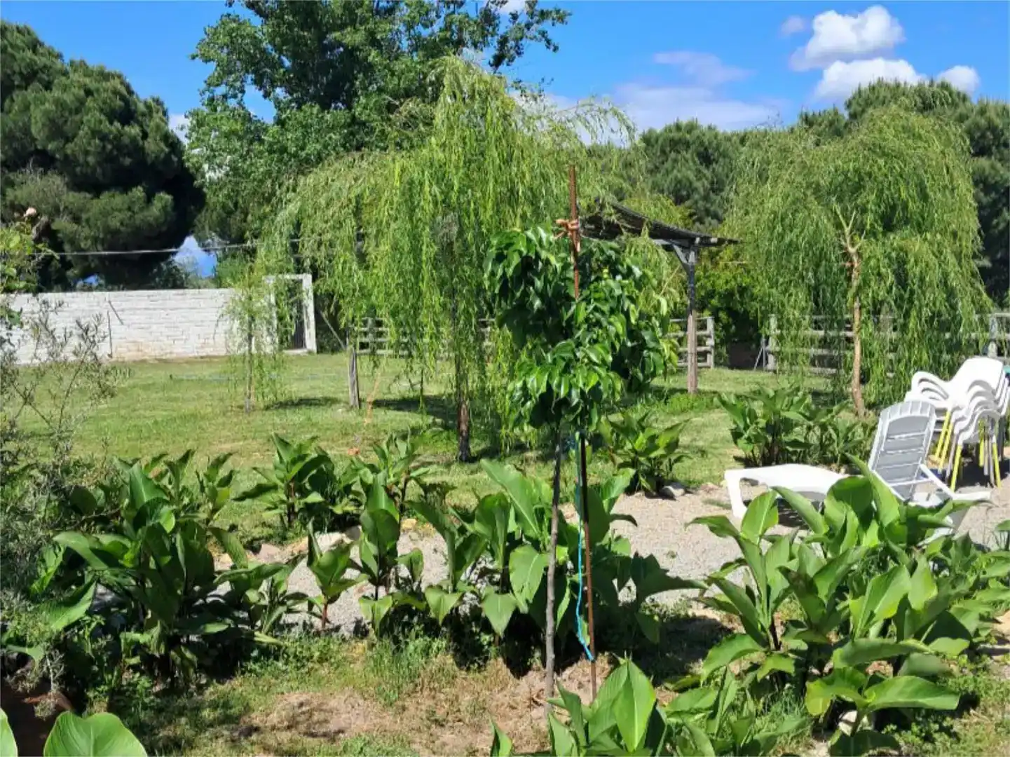 Jardí de Pis en venda en Navalmoral de la Mata amb Aire condicionat, Jardí privat i Traster