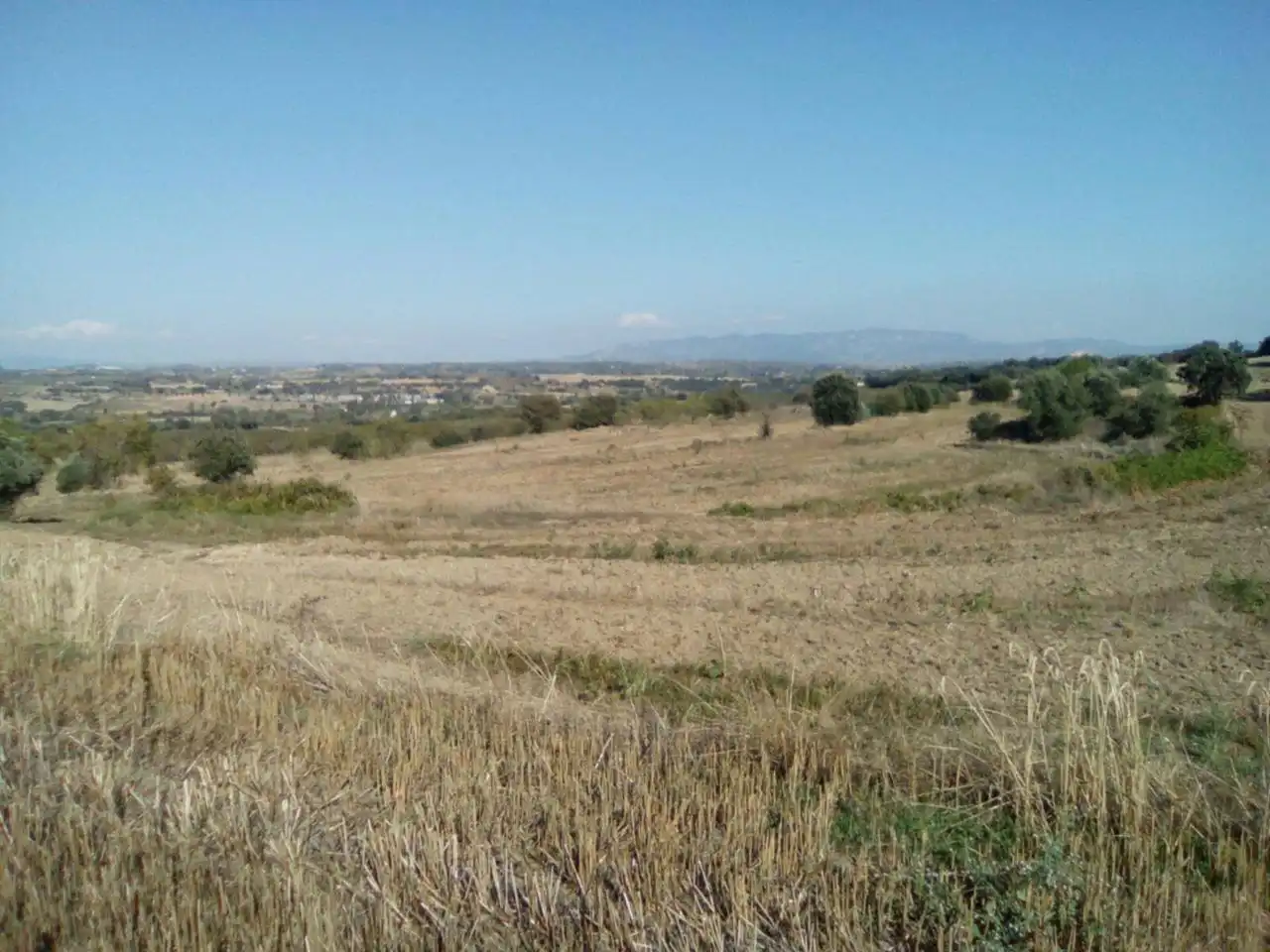 Terreni e lotti in vendita a Poligono 9