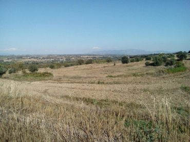 Terreno rustico in vendita a Poligono 9