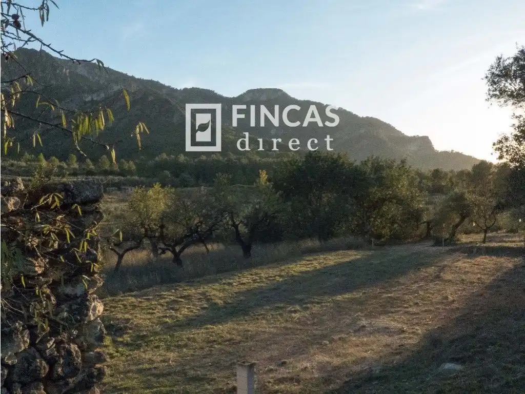 Vista exterior de Finca rústica en venta en Benifallet con Trastero