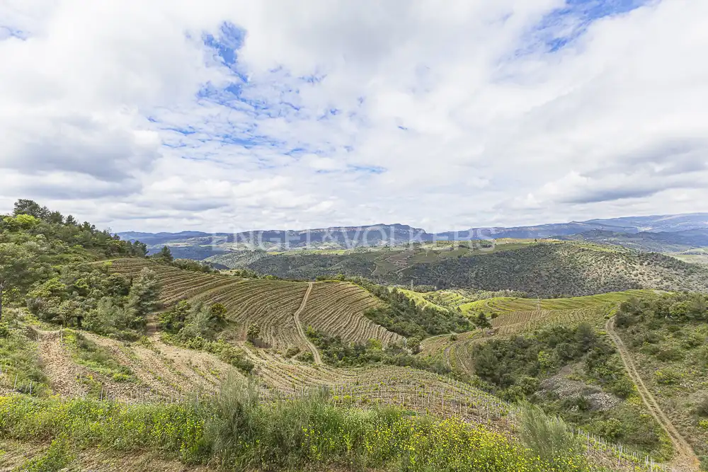 Residential land for sale in La Pobla de Claramunt, imagen 12