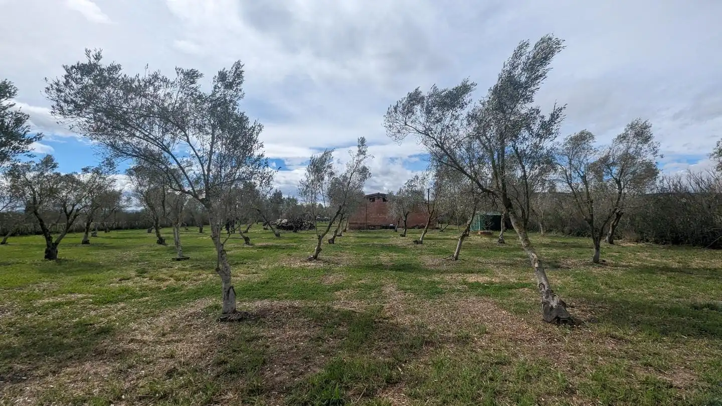 Residential for sale in Tudela