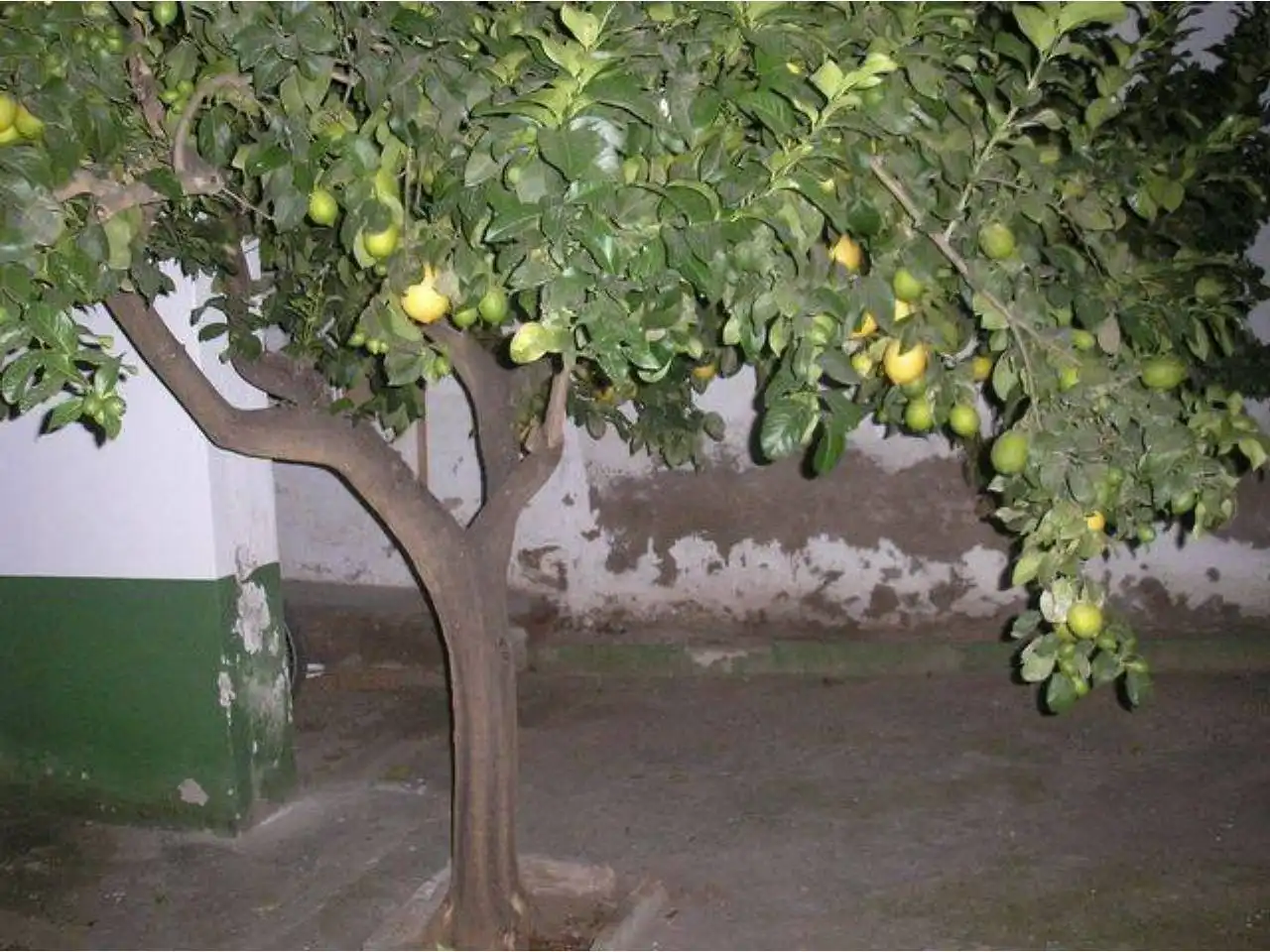Haus zum Verkauf in Calle SAN MIGUEL,49 CV A CERRADA, imagen 5
