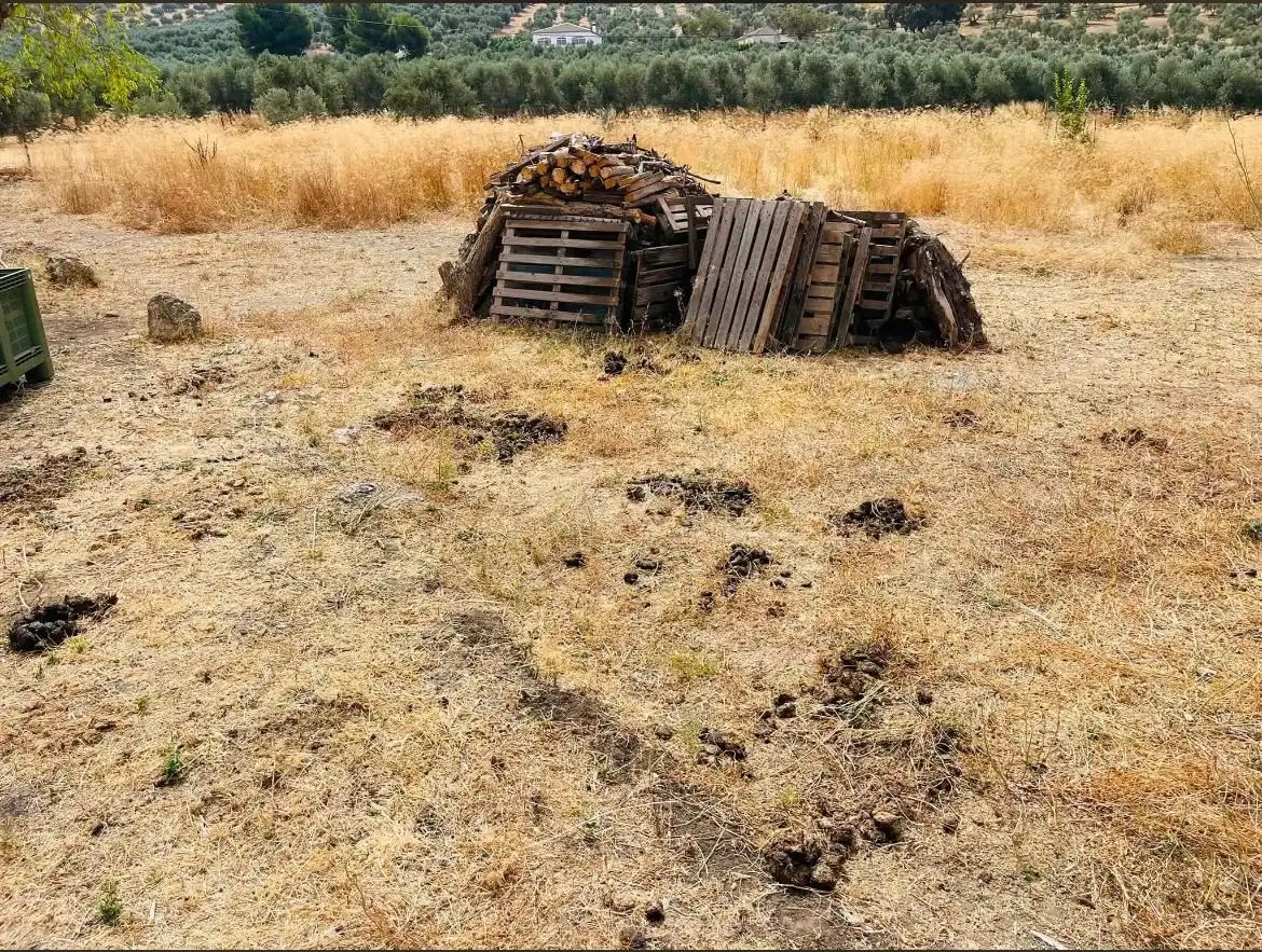 Terreni e lotti in vendita a Bobadilla - Bobadilla Estación - La Joya, imagen 20