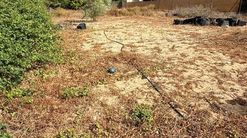 Foto 2 von Grundstücke zum Verkauf in Cuatro Pinos - El Carmen, El Puerto de Santa María