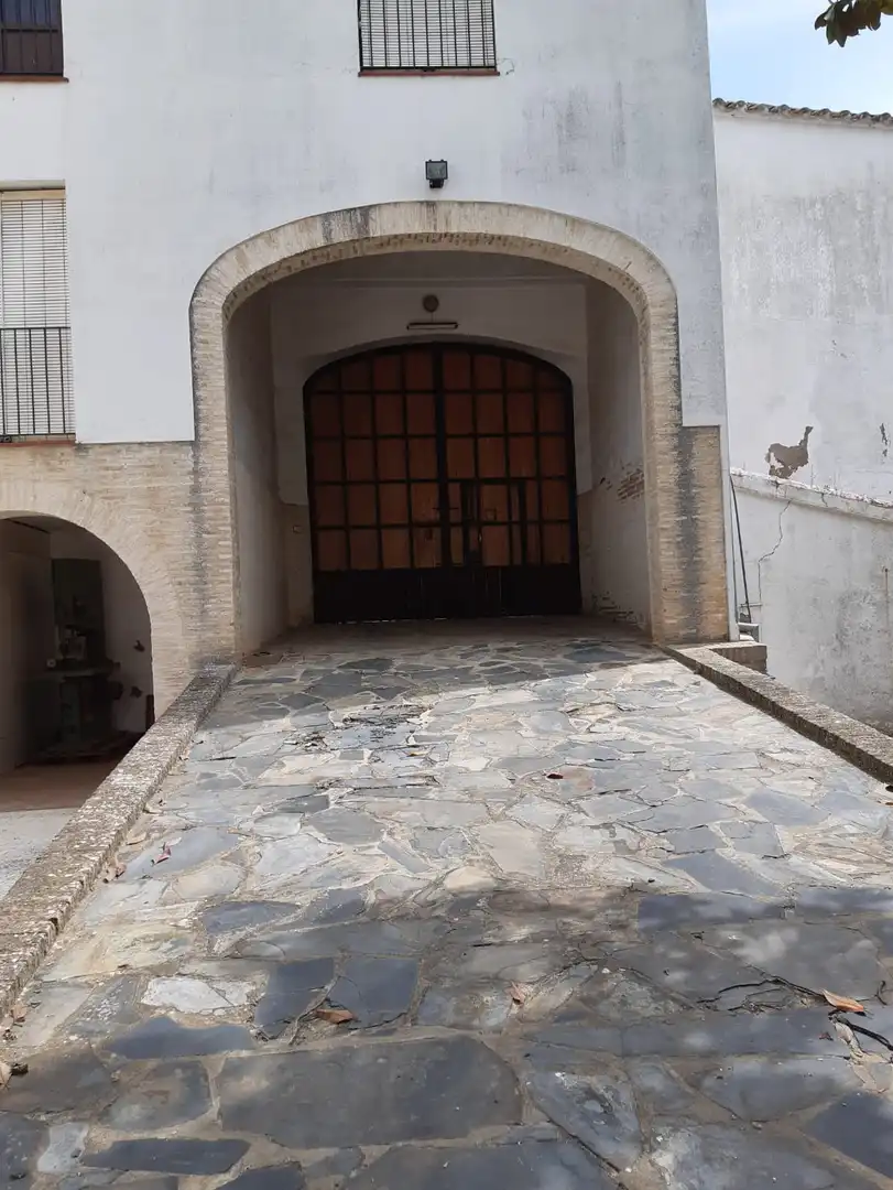 Buildings for sale in Constantina