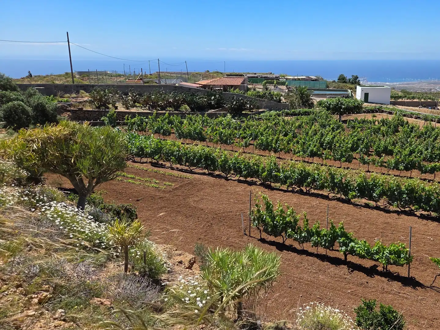 Terreno rustico in vendita a N/A, imagen 11