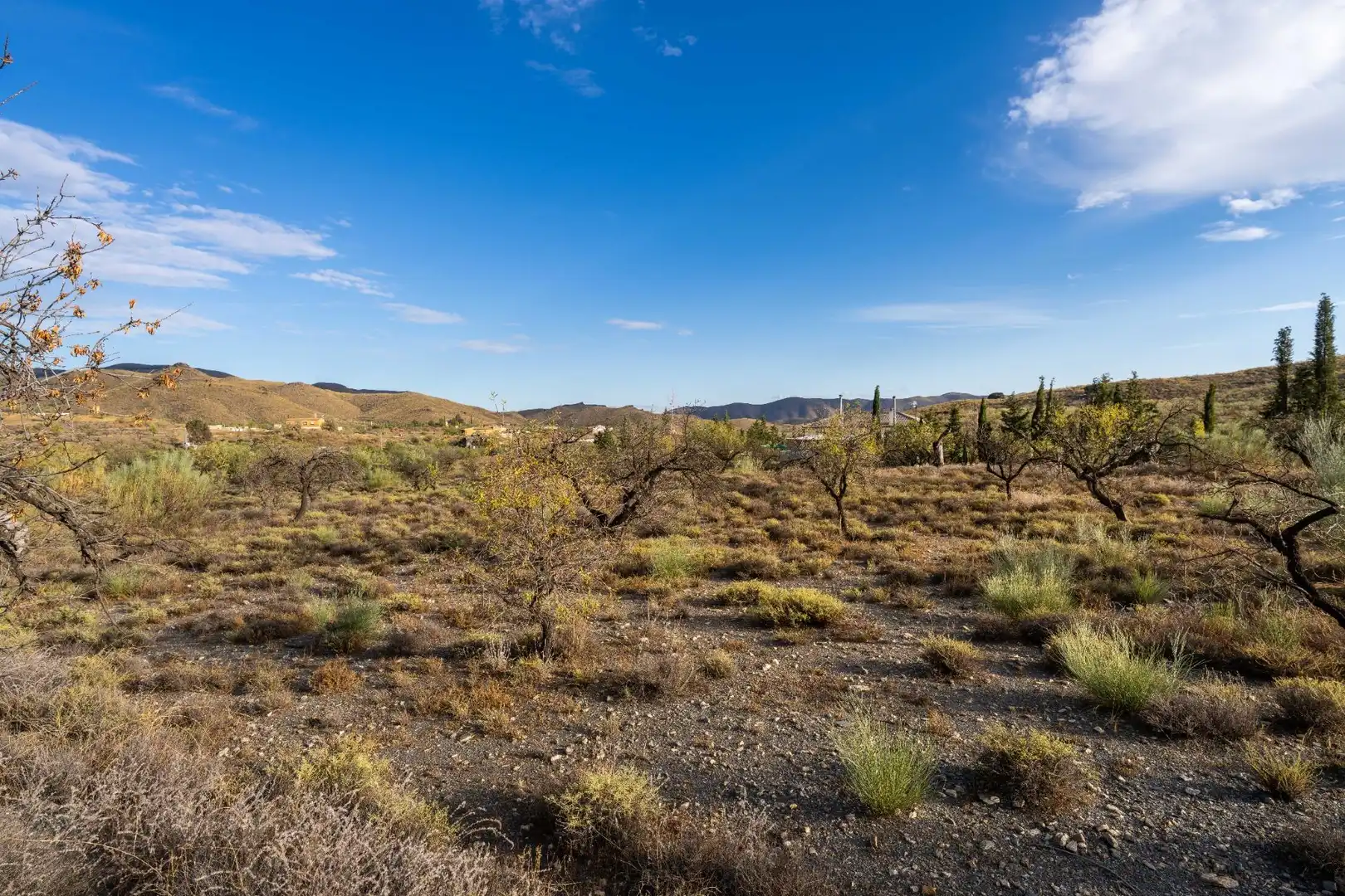 Rural land for sale in de Velefique a Senés 0, imagen 5