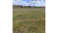 Land for sale in Casarrubios del Monte