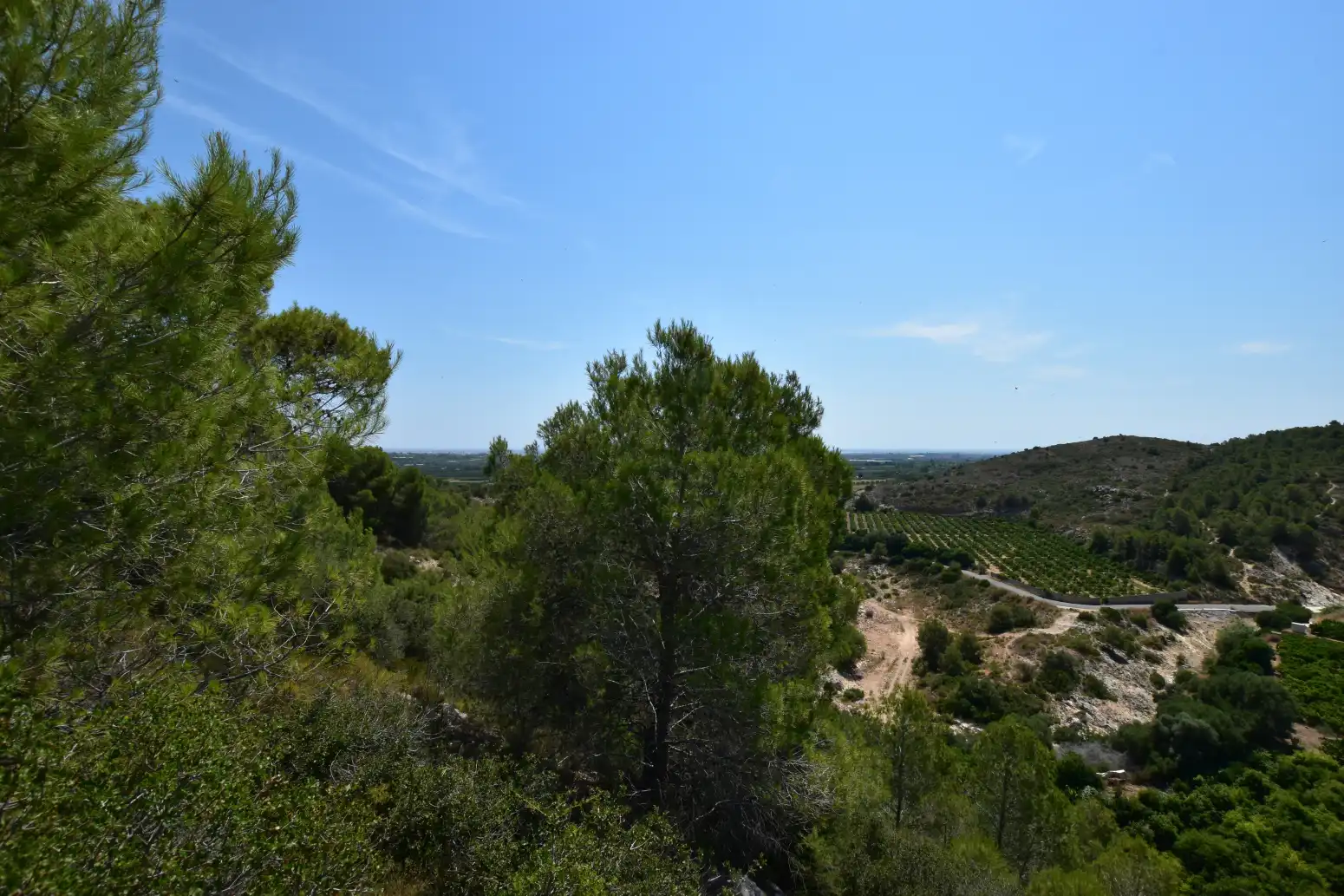Terreno rústico en venta en Picassent - CL COVA FUMÀ