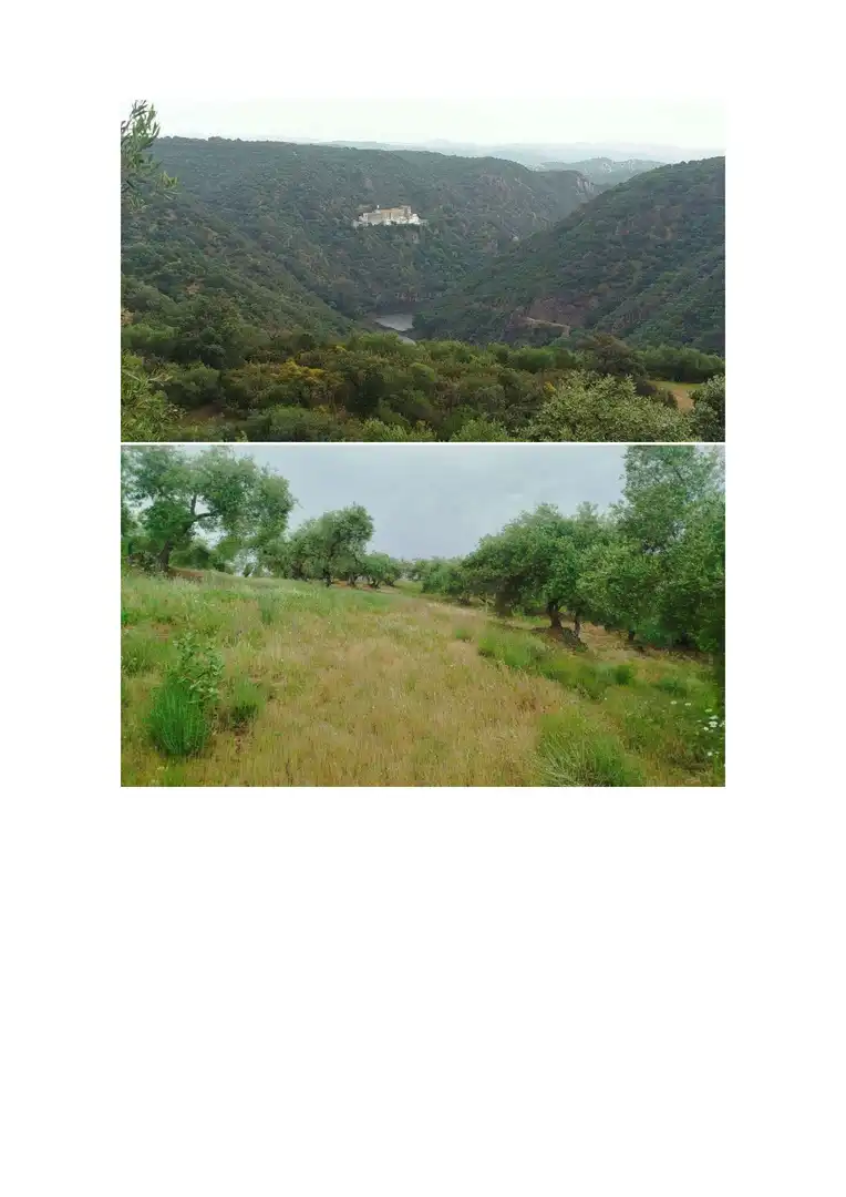 Terreno en venta en Hornachuelos