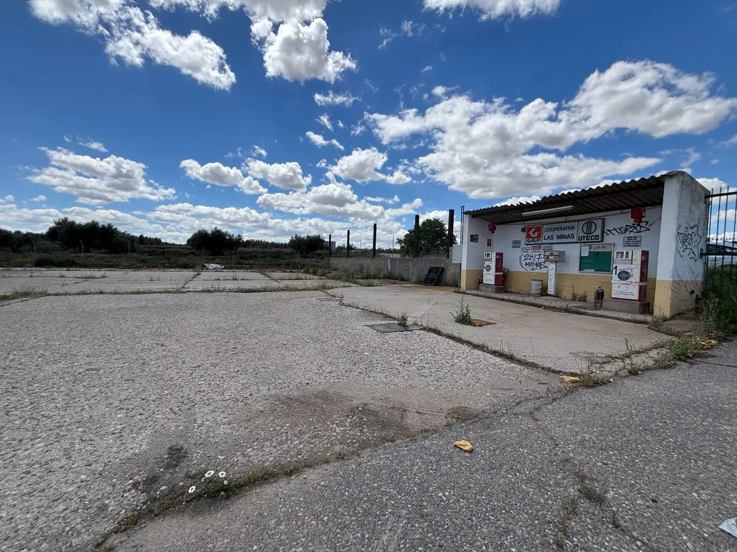 Terrenos y solares en venta en CAMINO VIEJO. GUADAMUR, imagen 10