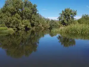 Vista exterior de Terreno en venta en Piedrabuena