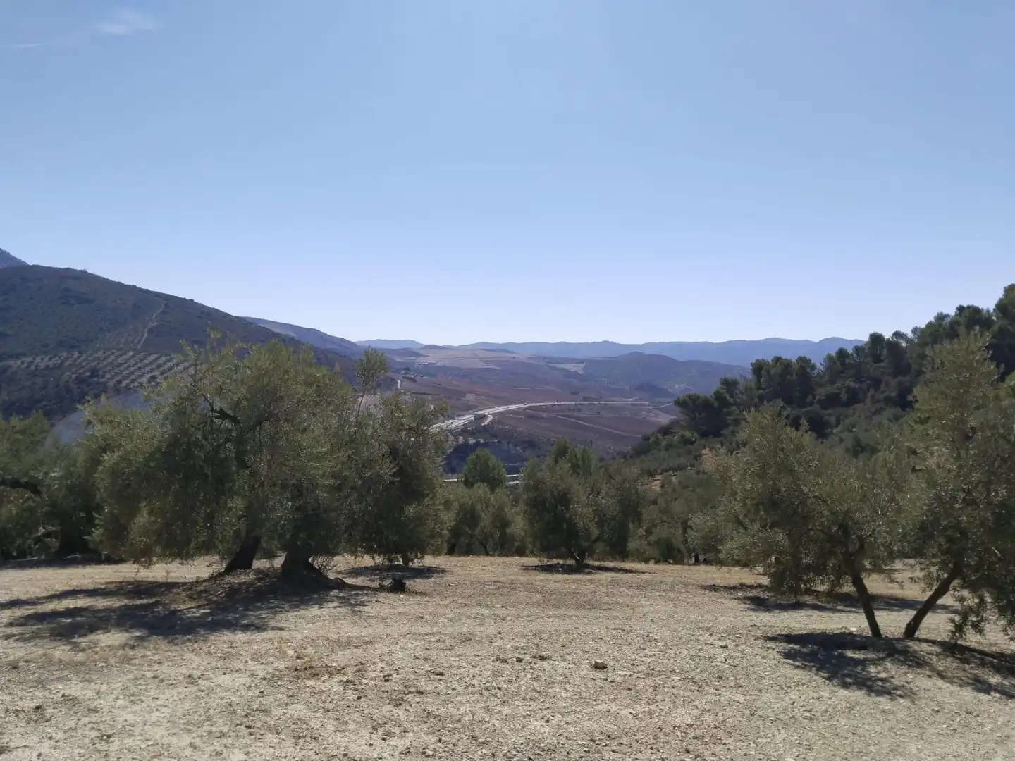 Terrenys i solars en venda a Zona de la Vega, imagen 7