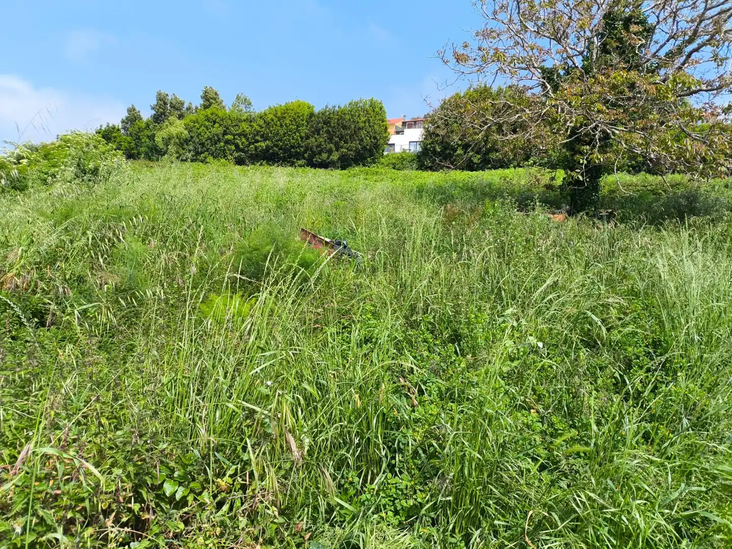 Casa con jardín en venta en SANTA FILOMENA, imagen 53