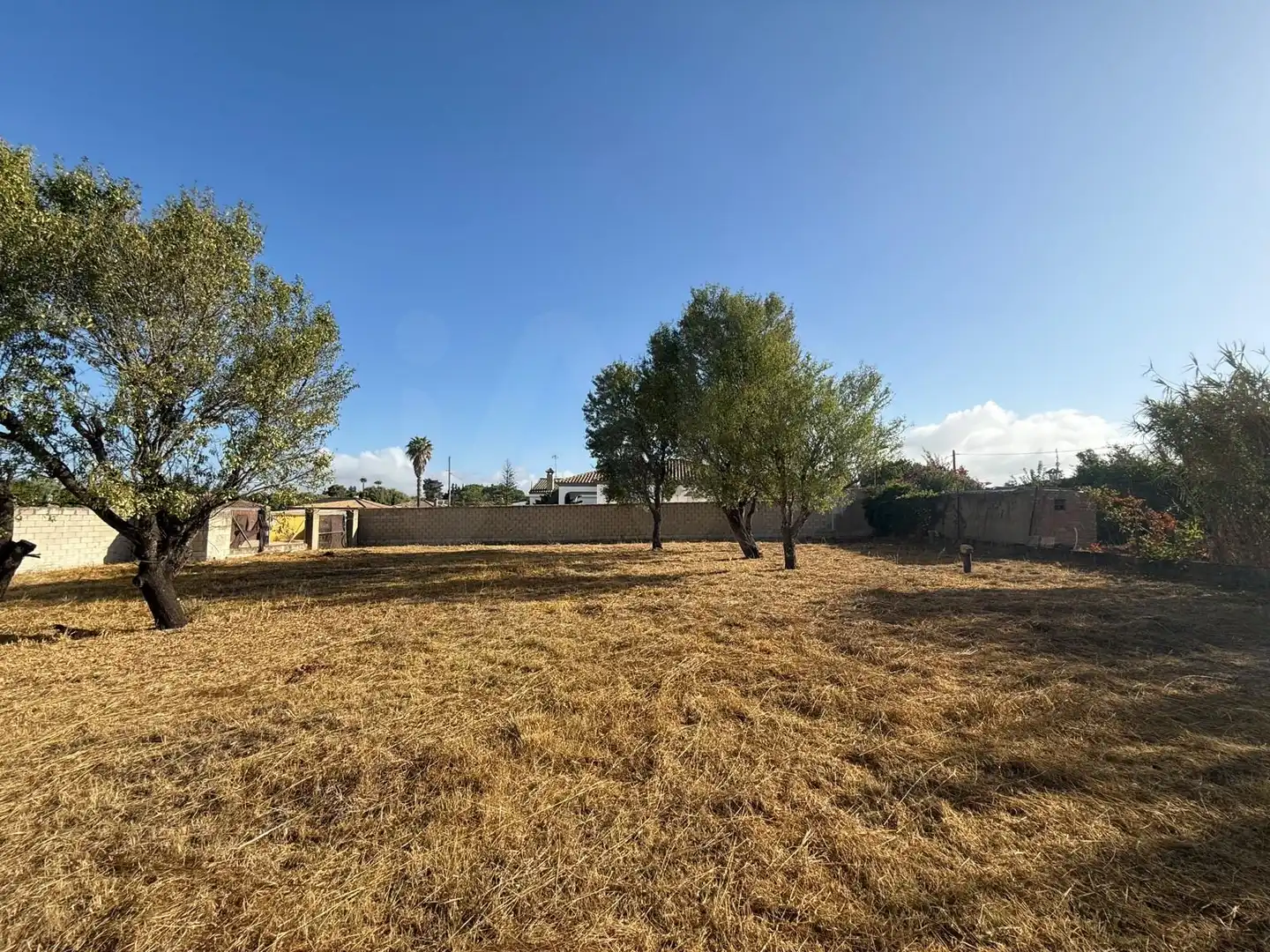 Terrenys i solars en venda a Los Franceses – La Vega, imagen 7