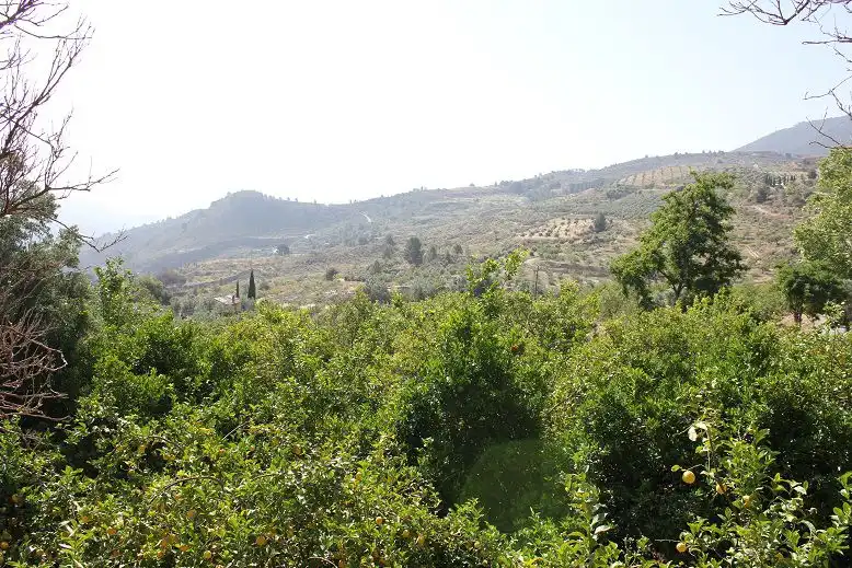 Terreni e lotti in vendita a Andalucía, imagen 12