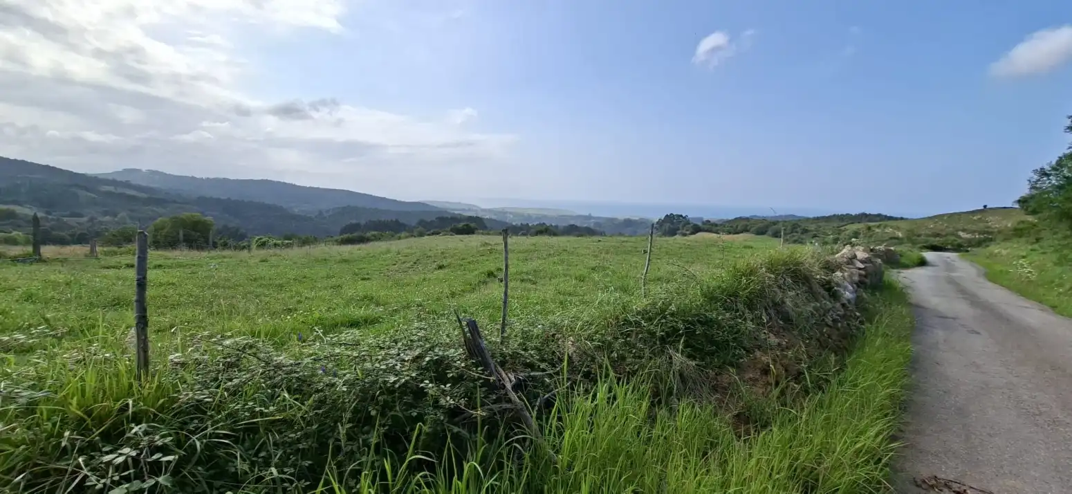 Terreny rústic en venda a Fresnedo - La Camba, imagen 4