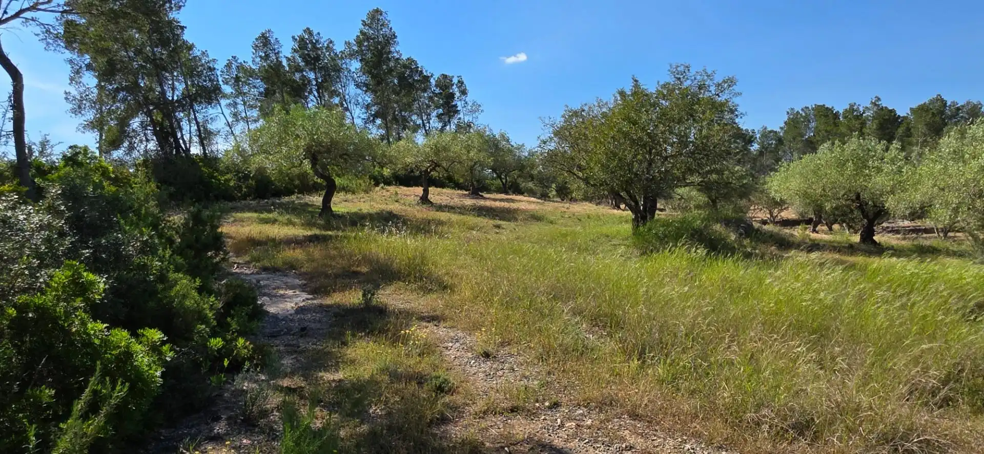Maison rustique à vendre à Tivissa, imagen 29