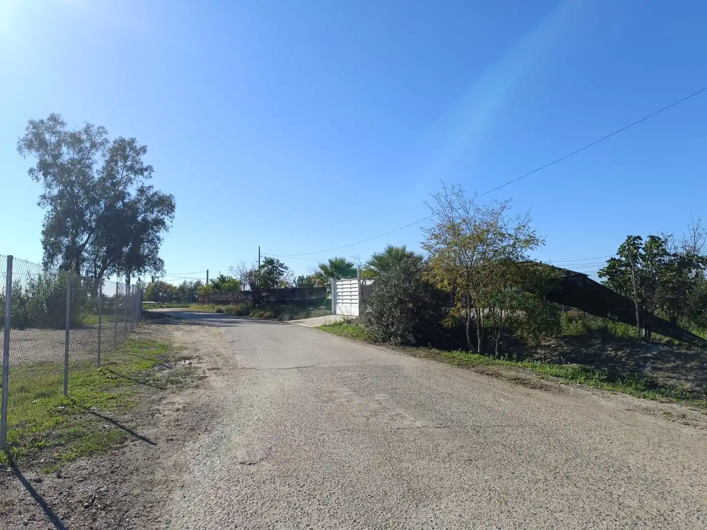 Terreny rústic en venda a La Algaba, imagen 4