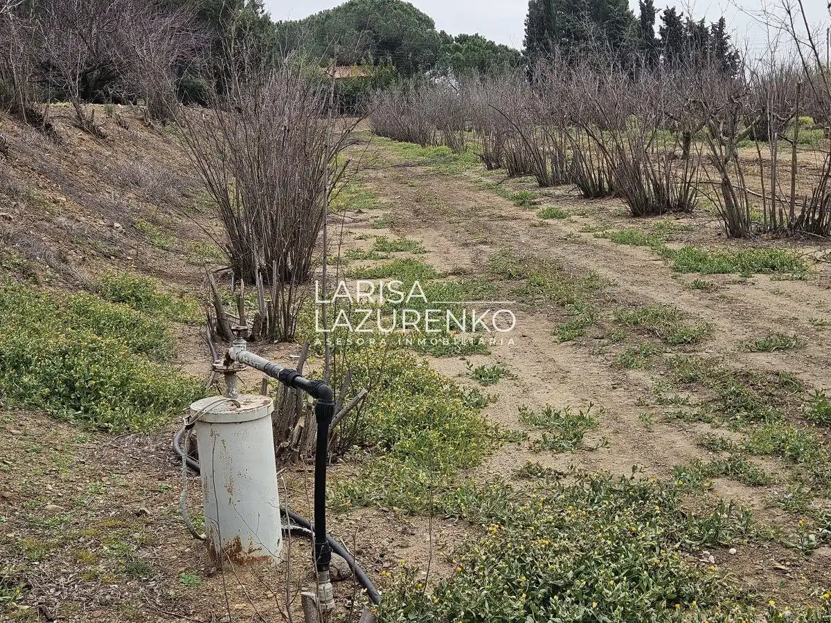 Finca rústica en venda en Riudoms