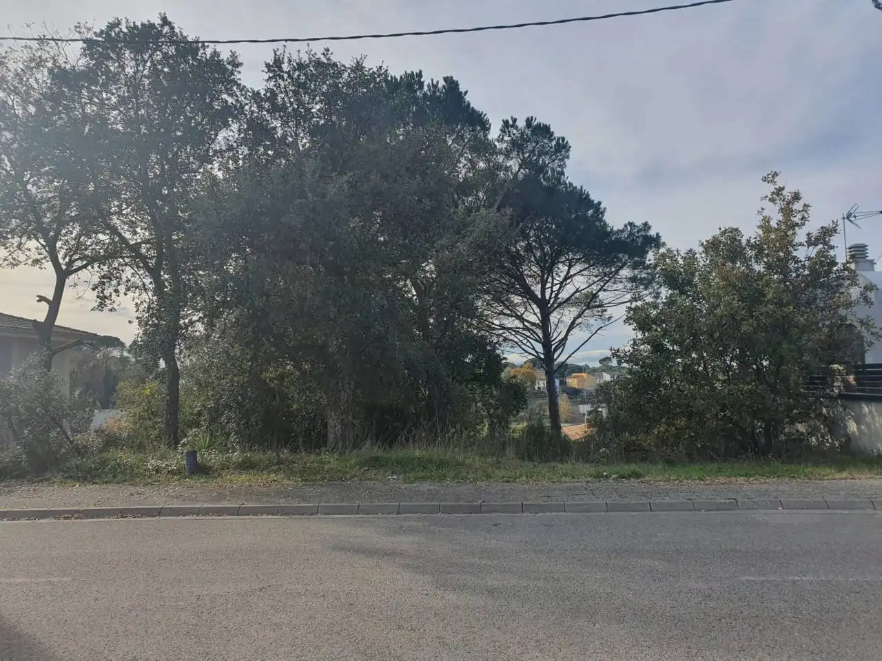 Terreny rústic en venda a Calle PLA DEL ESTANY, imagen 4