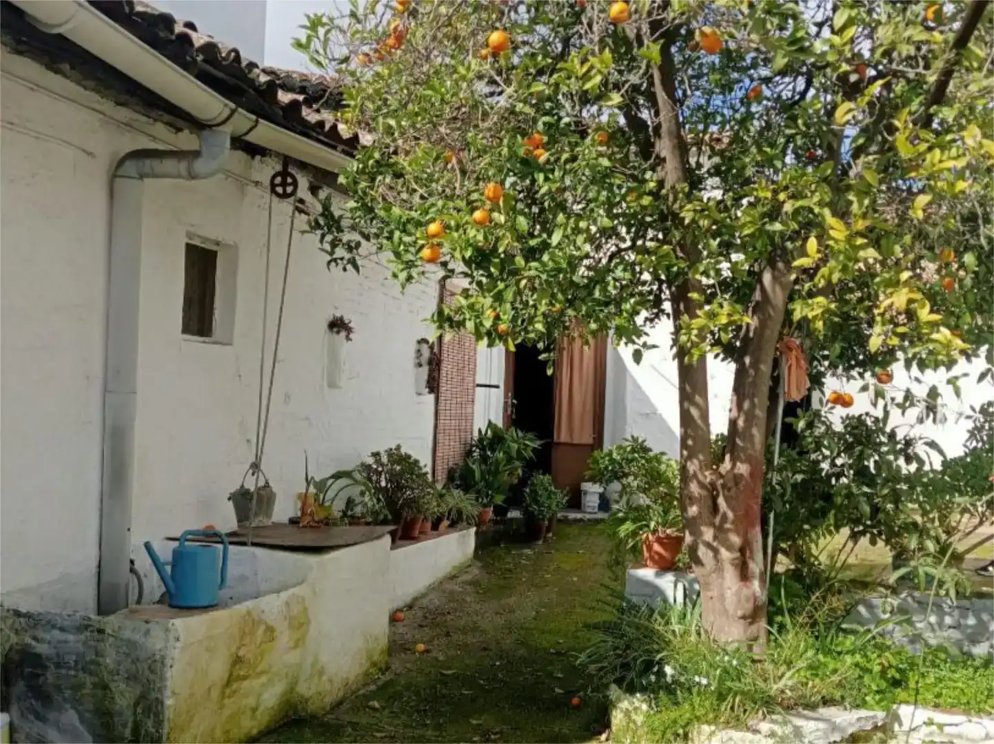 Vista exterior de Casa adosada en venda en Cala amb Jardí privat i Traster